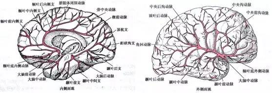 美国左翼文学发展历程 重要左翼作家作品有哪些