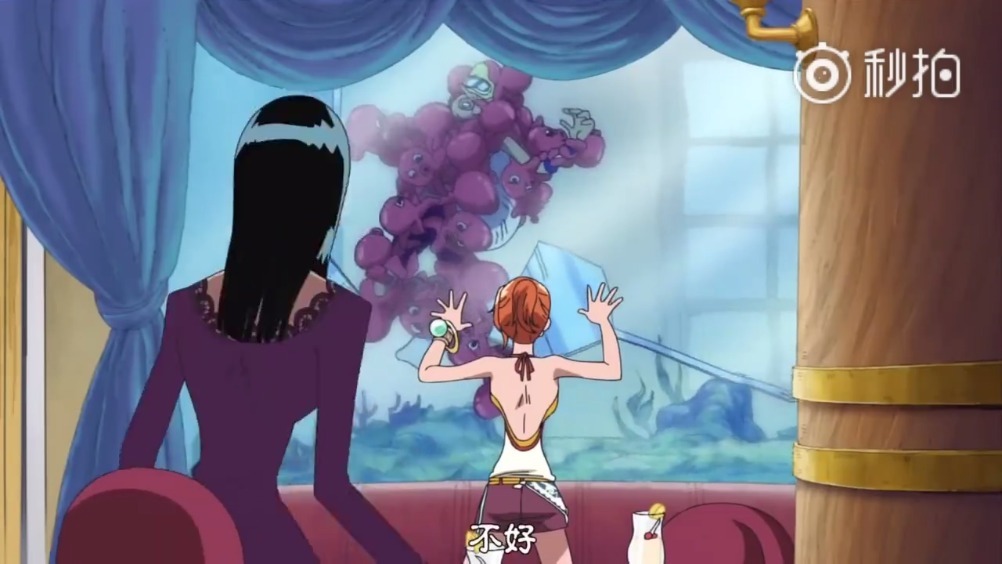 海贼王,路飞和乌索普捉章鱼的搞笑日常,《海贼王》