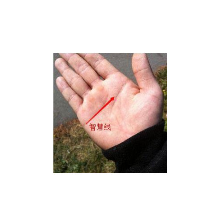 手相智慧线,看一个女人的命运。