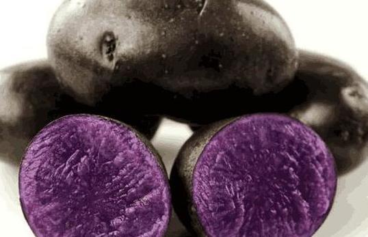 吃一个它,等于吃二10个西红柿,50个苹果,营养超