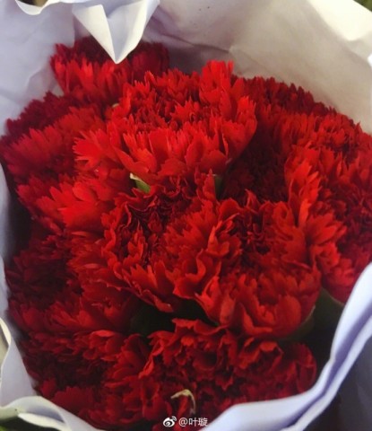 叶璇男友说肉麻情话:爱不爱身体最诚实 网友:太