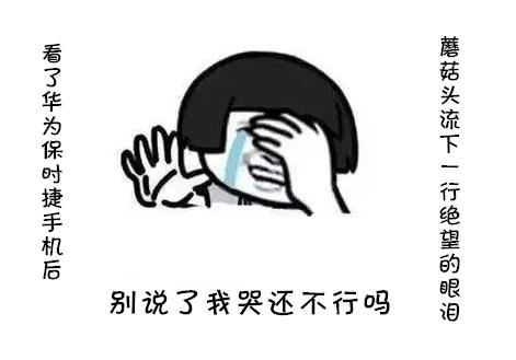 蘑菇头表情包：买不起华为保时捷手机的蘑菇头，改变自己实现梦想|华为 