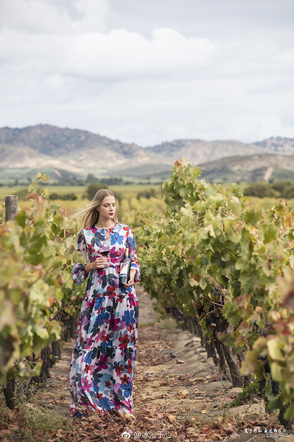 来智利怎能不喝葡萄酒?这里有葡萄酒之星的