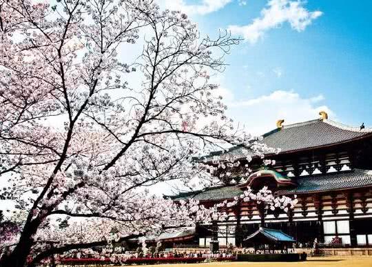 日本模仿中国建的造东大寺