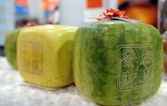 居然还有方形西瓜？是小编孤陋寡闻了
