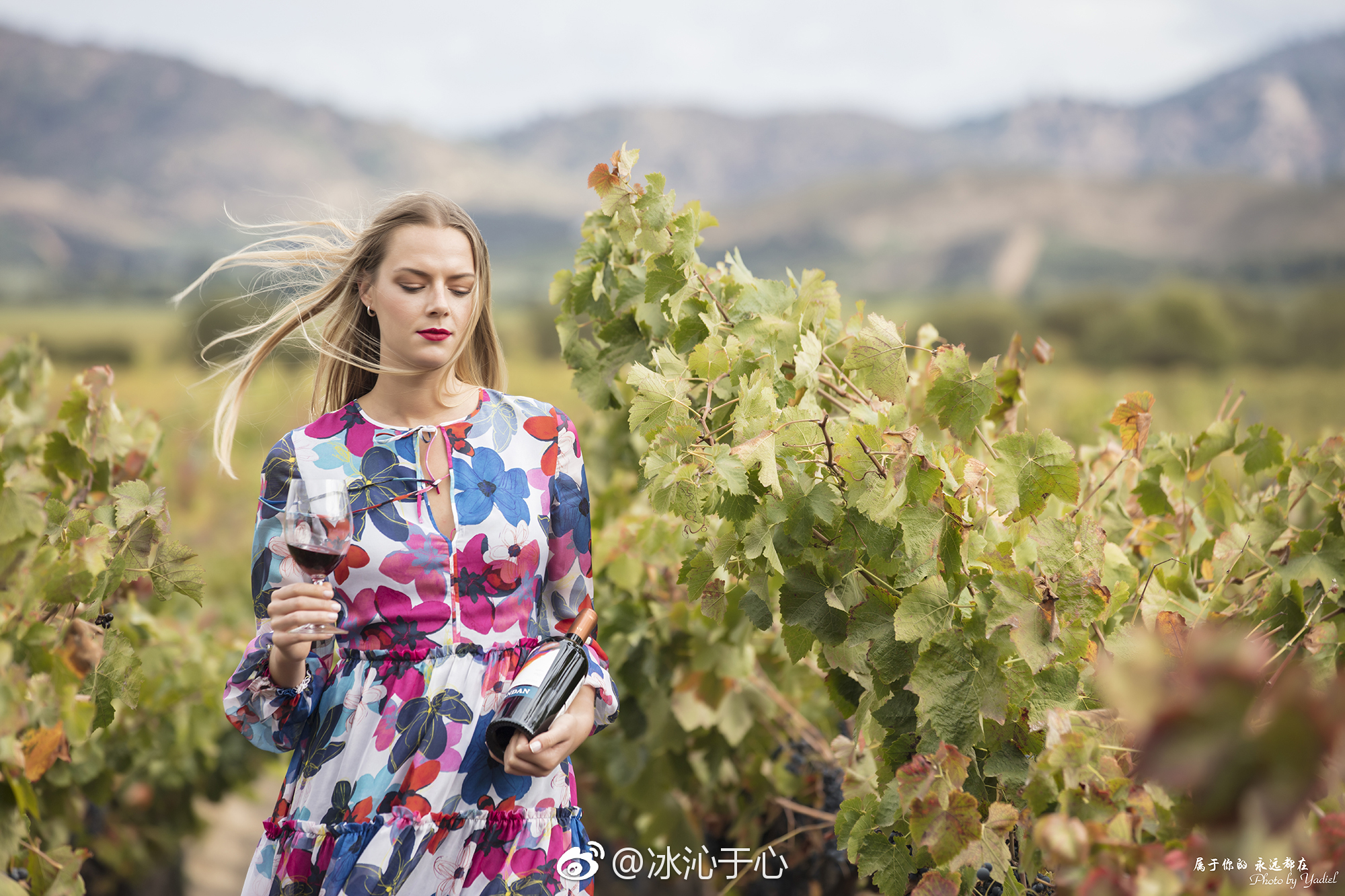 来智利怎能不喝葡萄酒?这里有葡萄酒之星的