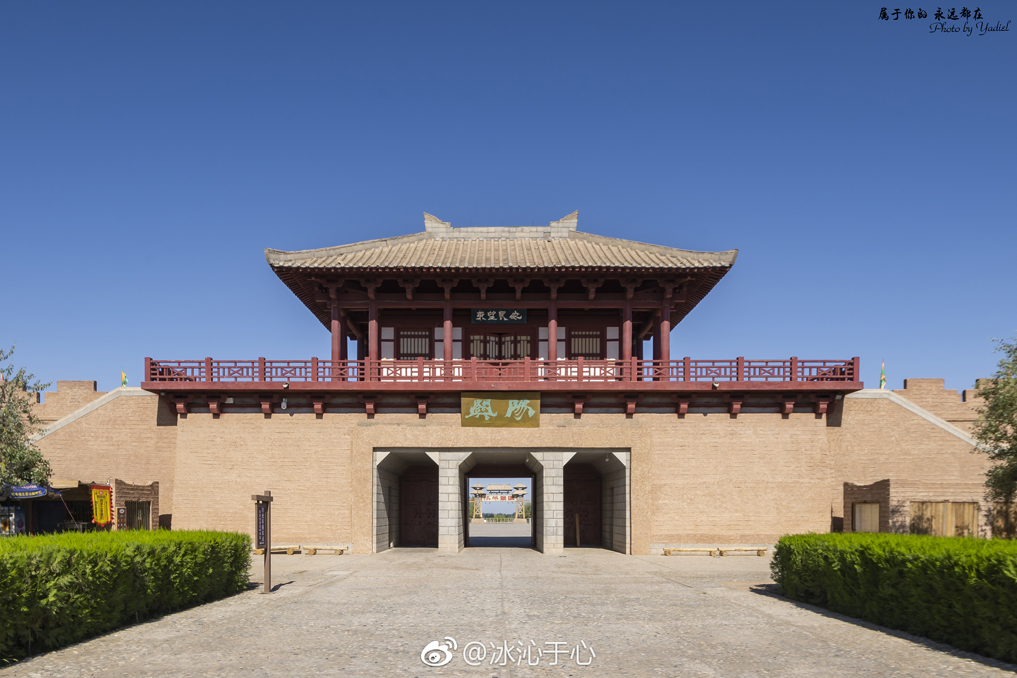 西出阳关无故人的前一句是什么（何处寄相思免费全文阅读无弹窗）-85模板网