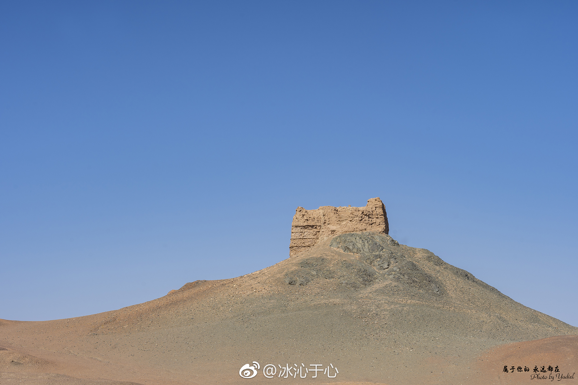 西出阳关无故人的前一句是什么（何处寄相思免费全文阅读无弹窗）-85模板网