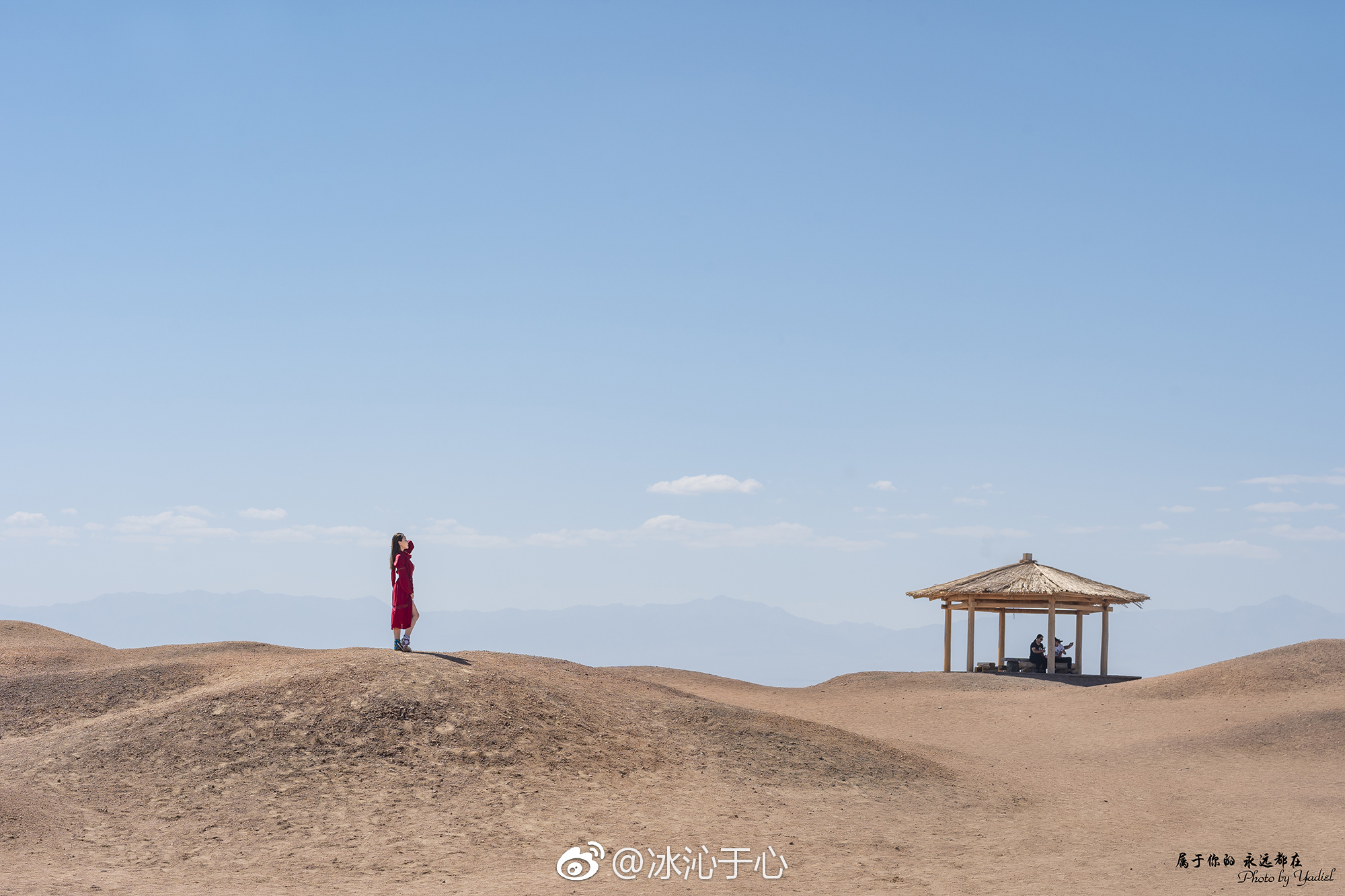 西出阳关无故人的前一句是什么（何处寄相思免费全文阅读无弹窗）-85模板网