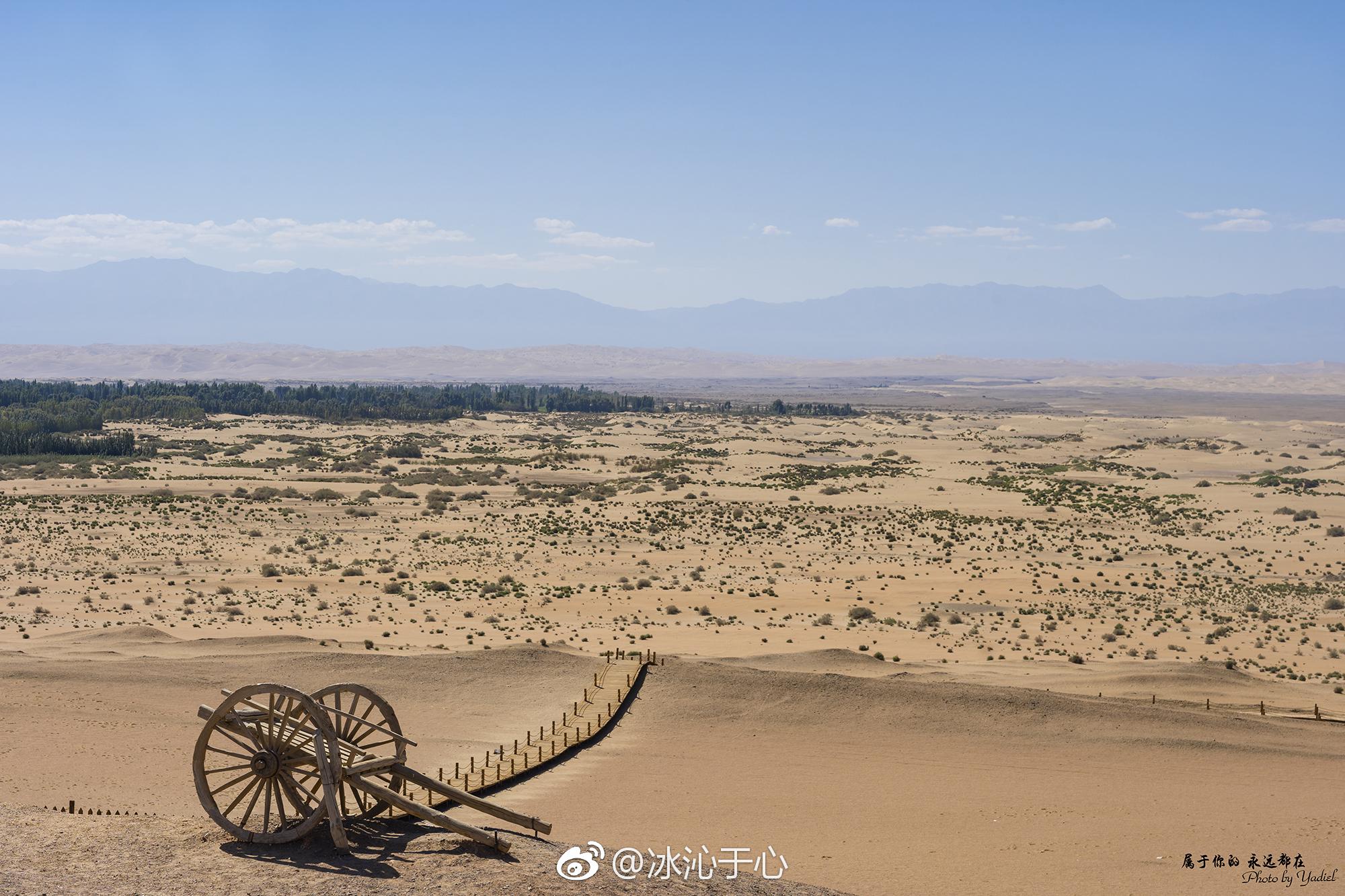 西出阳关无故人的前一句是什么（何处寄相思免费全文阅读无弹窗）-85模板网