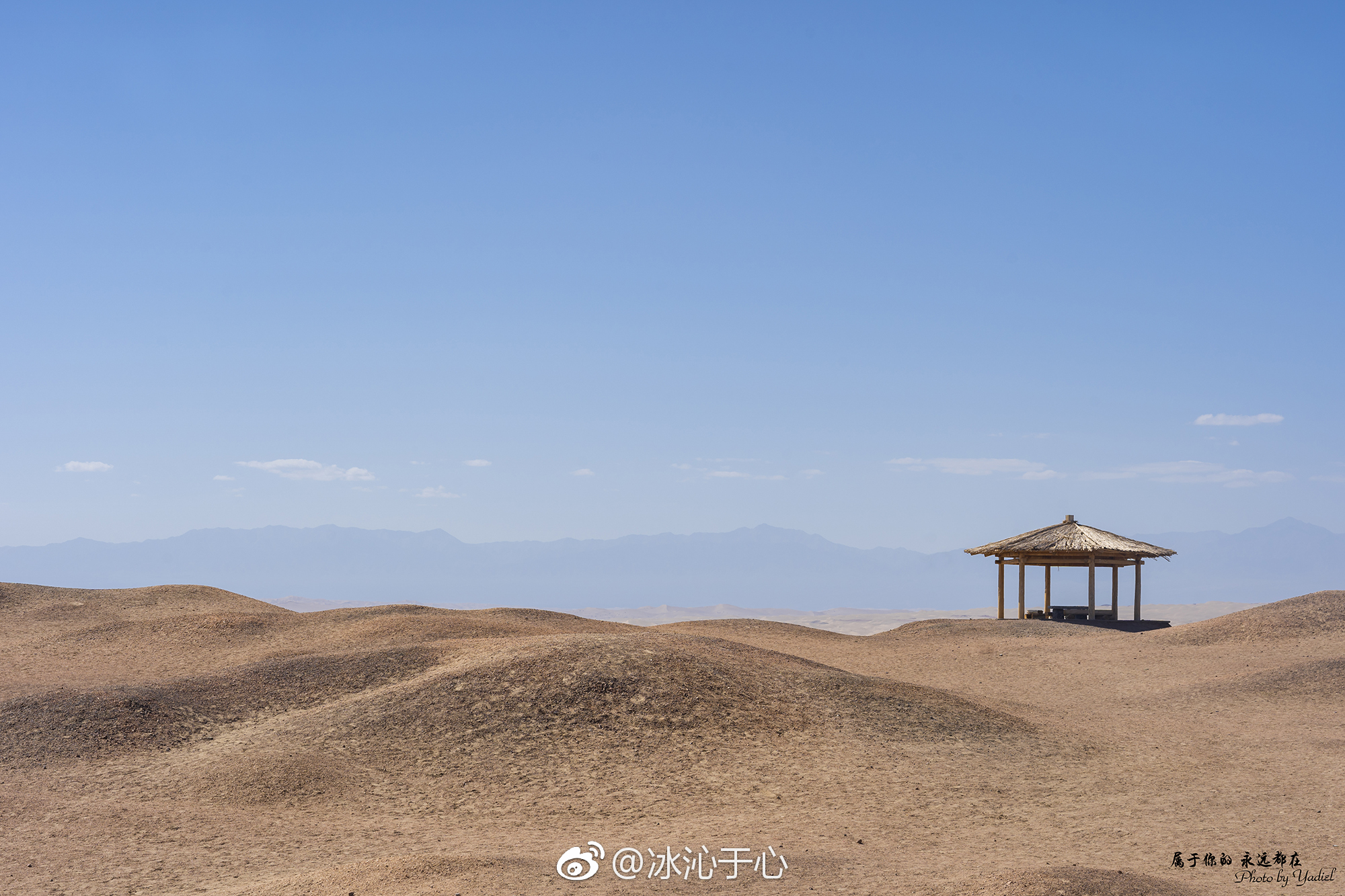 西出阳关无故人的前一句是什么（何处寄相思免费全文阅读无弹窗）-85模板网