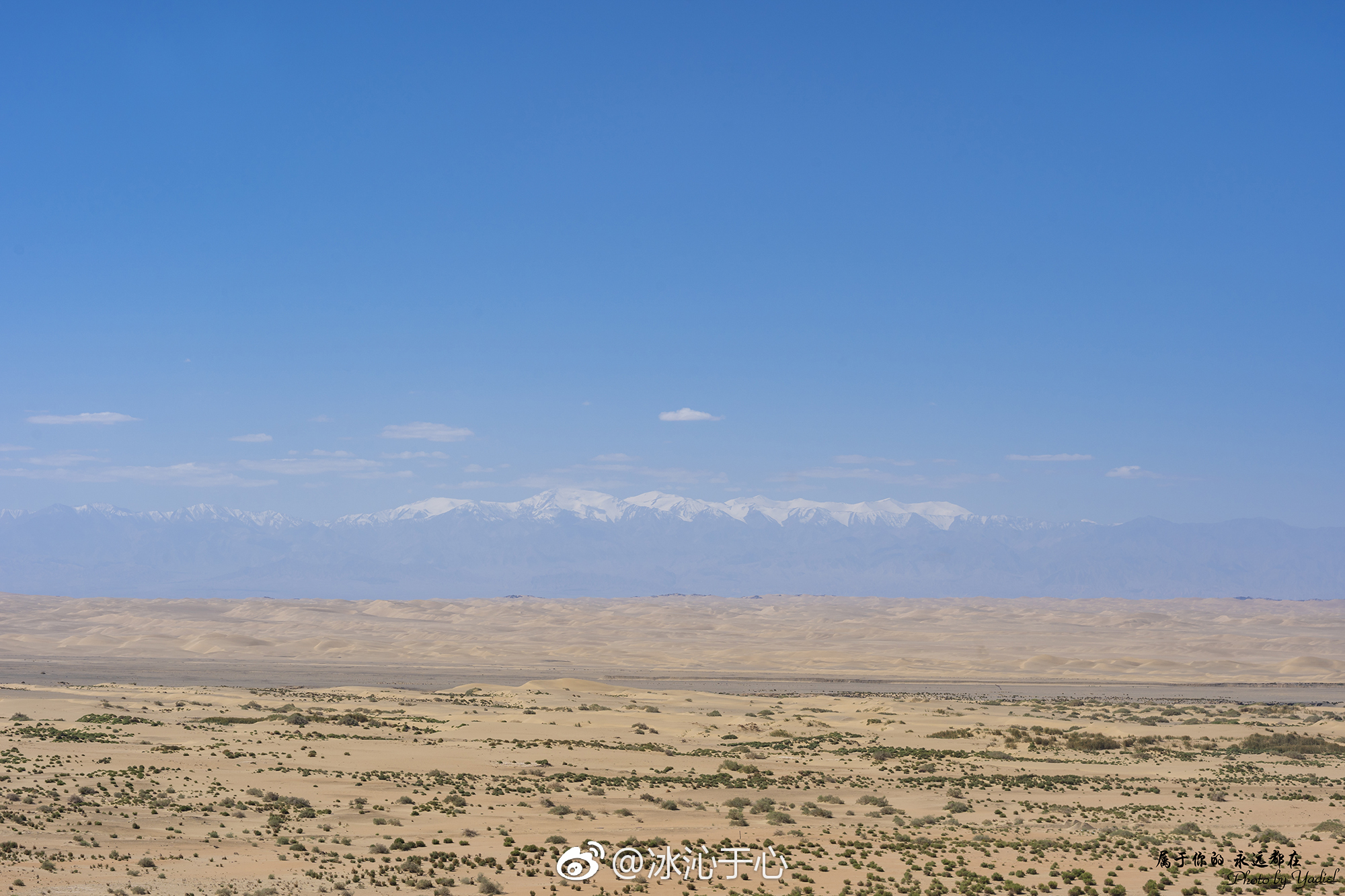 西出阳关无故人的前一句是什么（何处寄相思免费全文阅读无弹窗）-85模板网