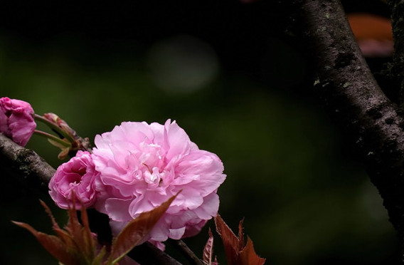 人没钱的现实句子,人没钱不如鬼,汤没盐不如水