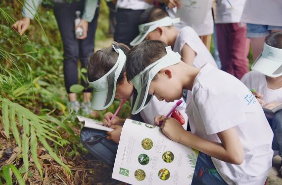 SP小圈玩法深度指南：亲密关系中的安全探索全解析