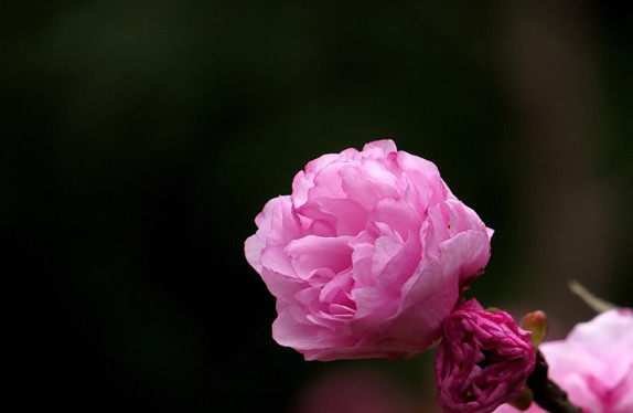 人没钱的现实句子,人没钱不如鬼,汤没盐不如水