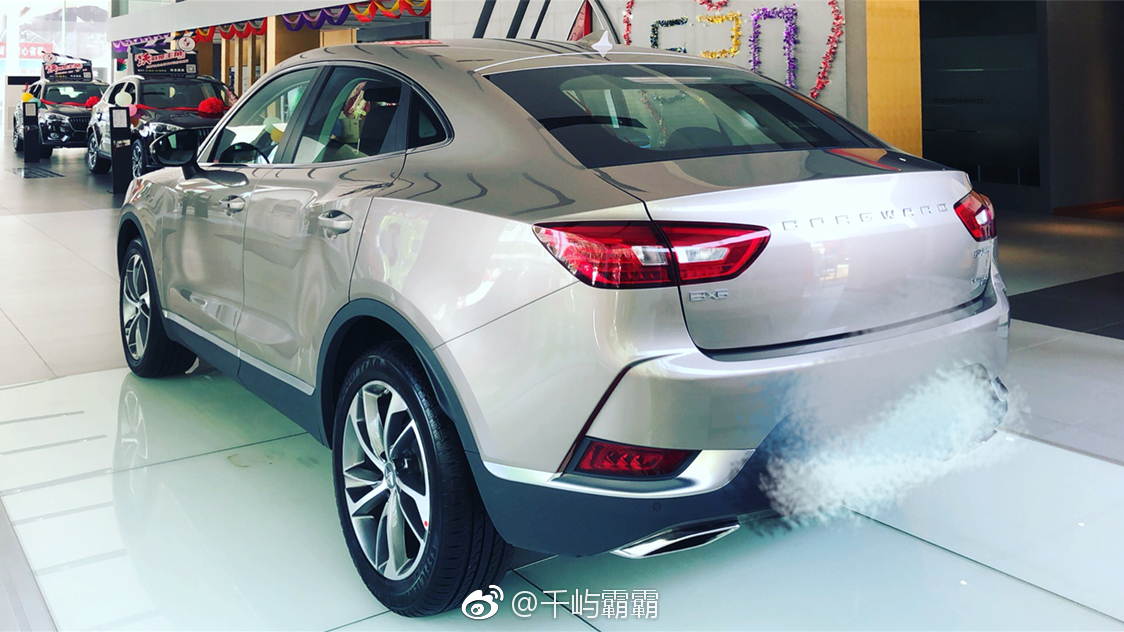 汽车博主们今天一同鉴赏了德国宝沃BX6、GE8痛车