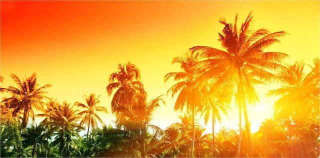 摄影技巧:单反逆光拍摄,需要掌握这2个技巧!