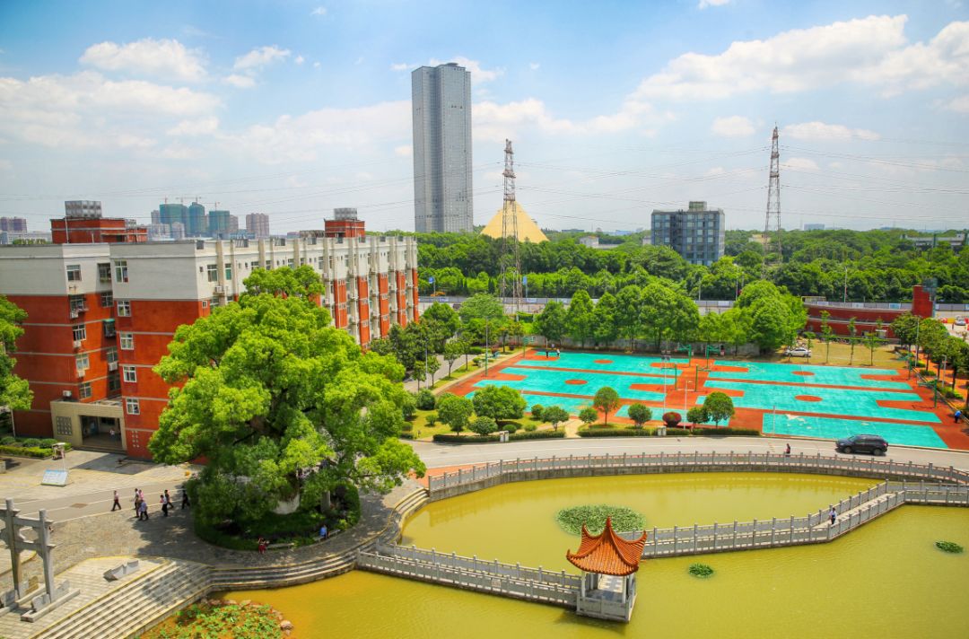 这些长沙县一中人的专属时光 向永不落幕的青春致敬!