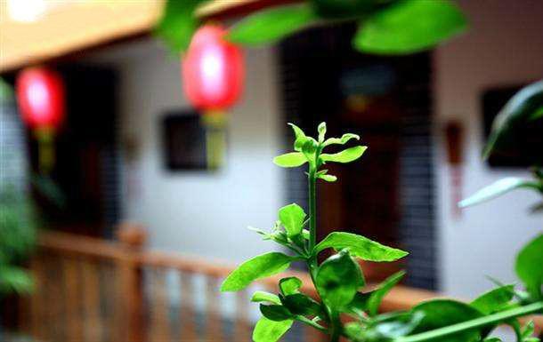 童年时光最值得回忆:这10首古诗,描写了温暖的