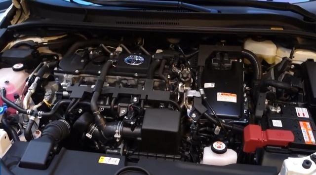 ̨2019ڵ꣬ʵ˼˧ѣڴ