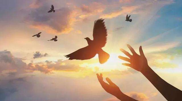 12条建议! 给初中孩子最好的礼物, 当迷茫、疲