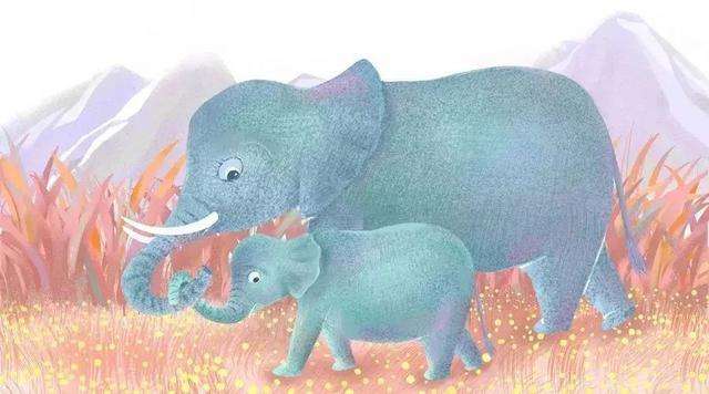 12条建议! 给初中孩子最好的礼物, 当迷茫、疲