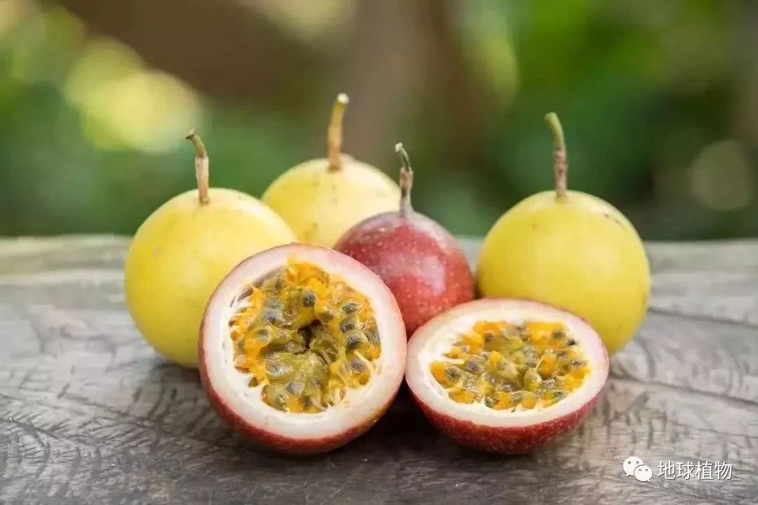 干瘪皮皱的百香果还能吃吗?