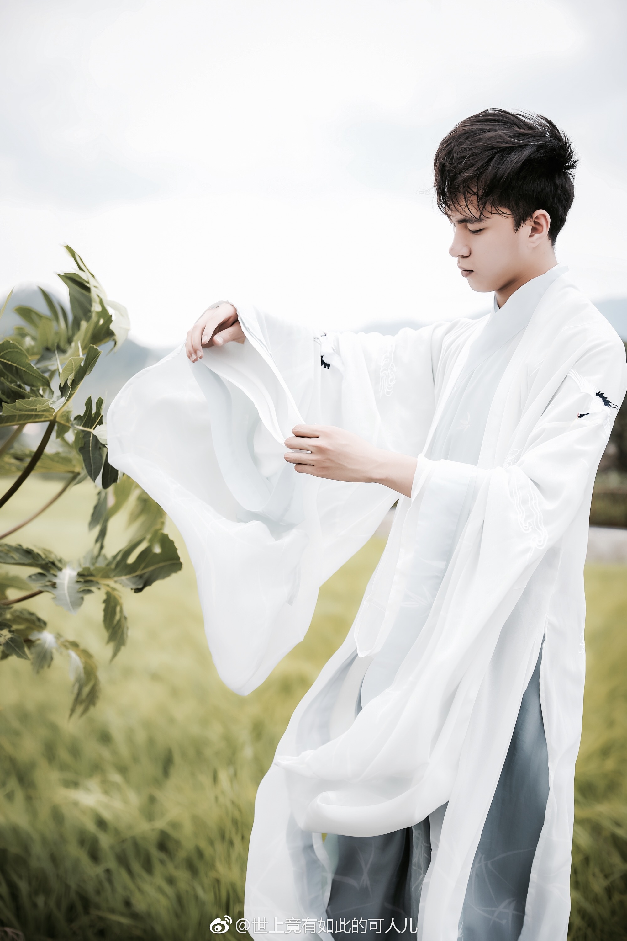 骑鹤下扬州,阖眼定风波