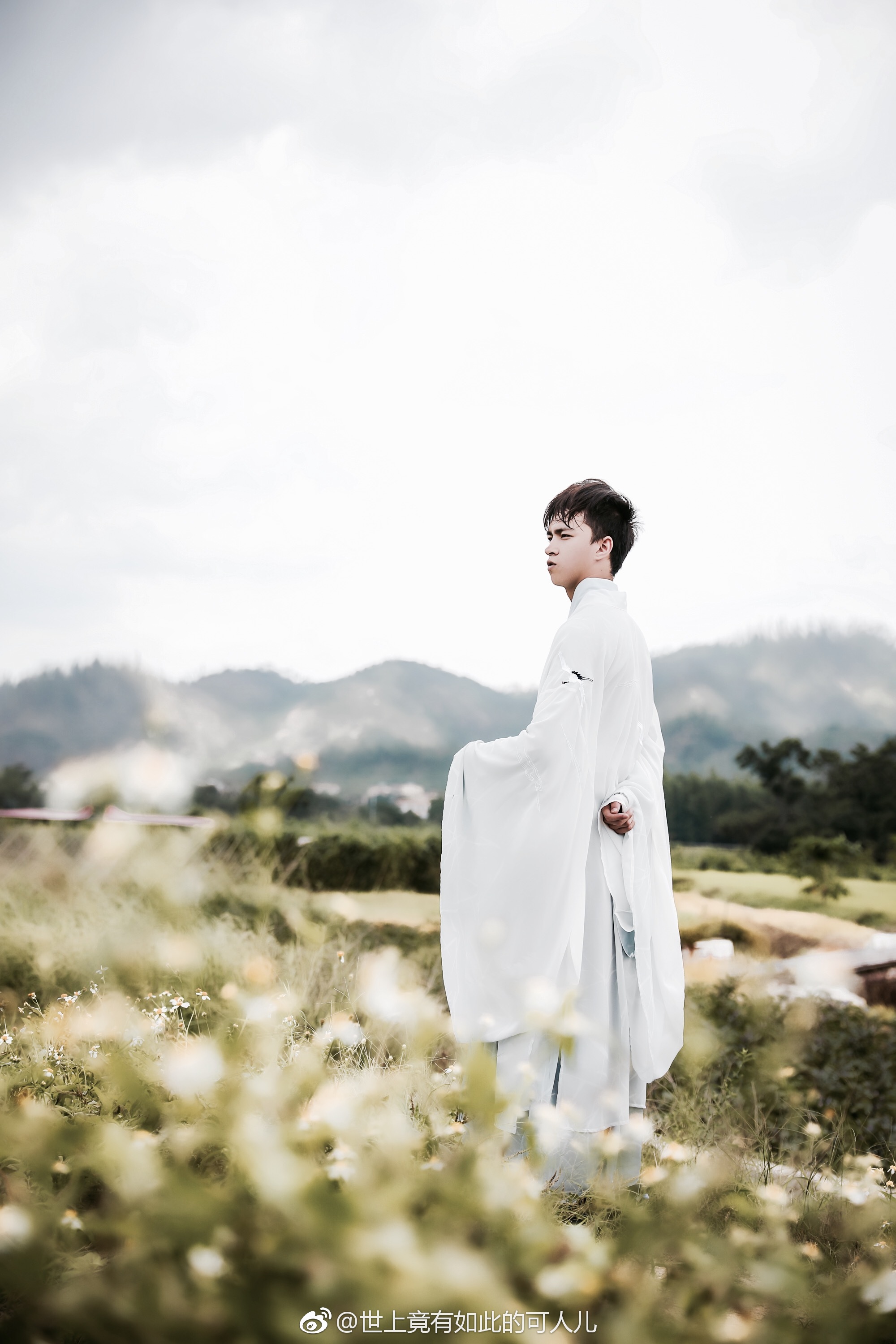 骑鹤下扬州,阖眼定风波