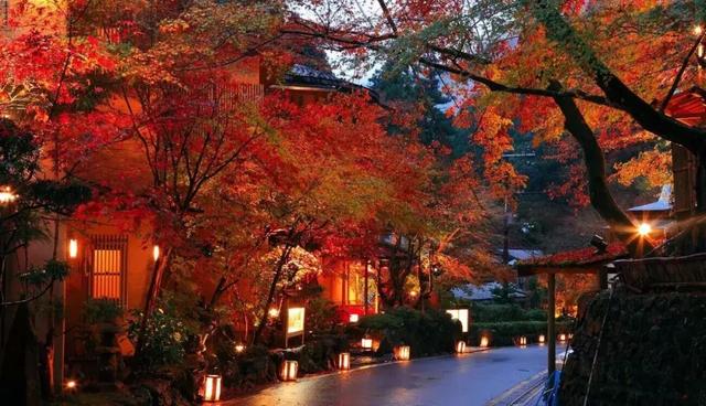 满是红叶秋季京都,最适合散步了!