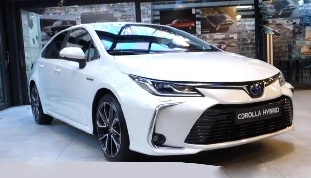 ̨2019ڵ꣬ʵ˼˧ѣڴ