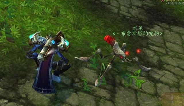 魔兽世界猎人天赋技能宠物推荐，打造快速升级之路！