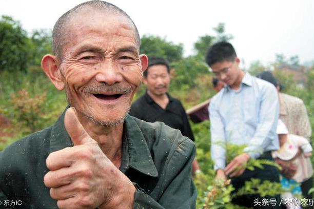 2018年开始,这3类农村将迎来第一书记,这3类人