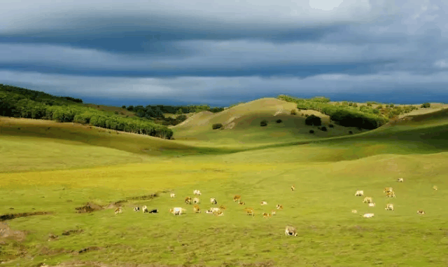 如何破解同城资源匹配难题？全国智能系统省40%成本+提速3天