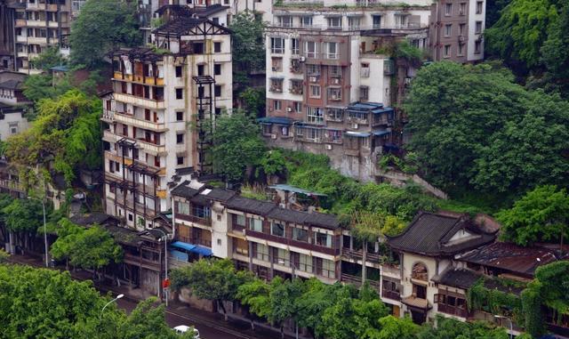 探秘重庆阴气最重的山岗-重庆森林漫游记