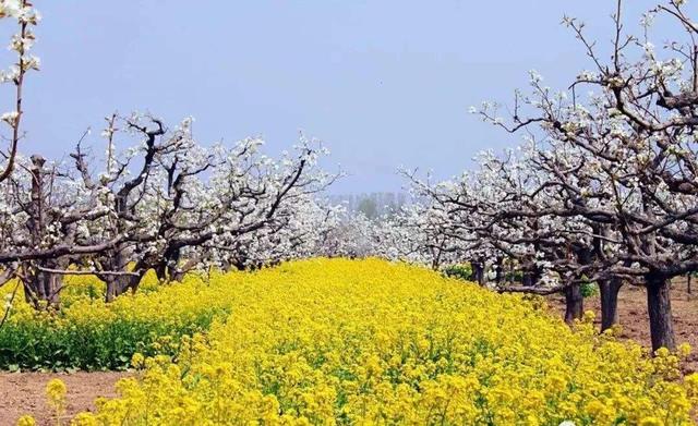 江苏六个发展慢的县,全在苏北地区,拖江苏后腿
