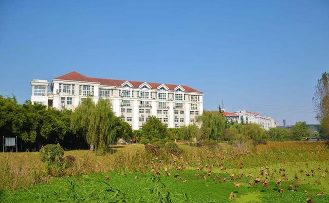 这四所能凌驾211大学之上的普通一本,不报真