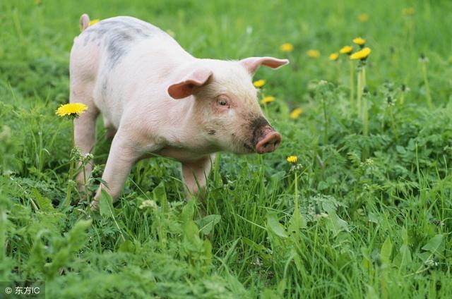 1935,1947,1959,1971,1983,1995,2007等年份