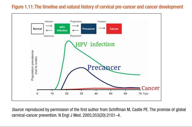 HPV感染既然没有药物治疗,为什么还要进行HP