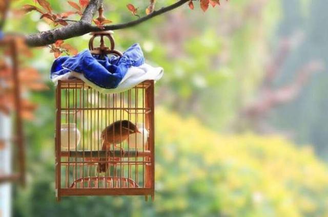 来中国旅游很好,唯一就这个现象,老外看了非常