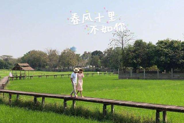 汪涵生日杨乐乐秀恩爱,众明星送祝福,谢娜微博