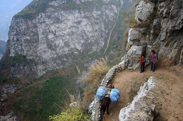 让人揪心,除了凉山悬崖村,世界上这些孩子经历最危险的上学路!