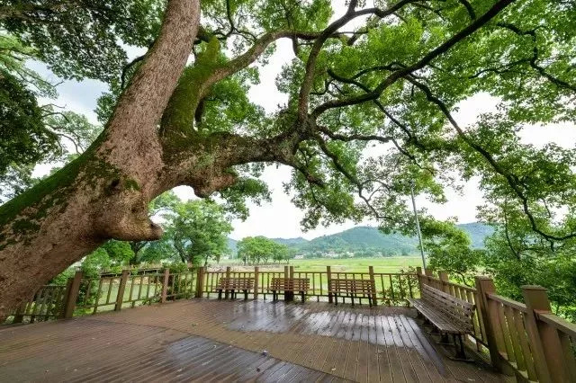 宜丰旅游夏天最值得一去的地方刺不刺激你说了算
