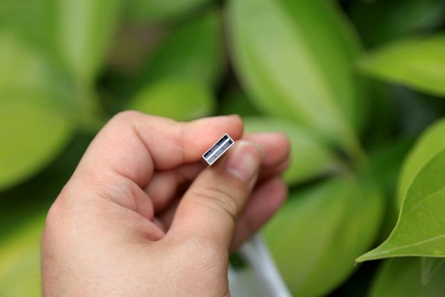 国货当自强,欧可林Oclean SE+青春版告诉你便