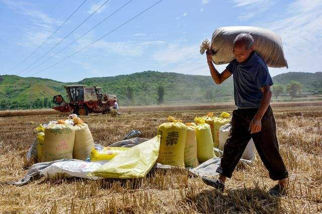 为什么现在农村70后不愿种地,80后不会种地,90后不提种地?