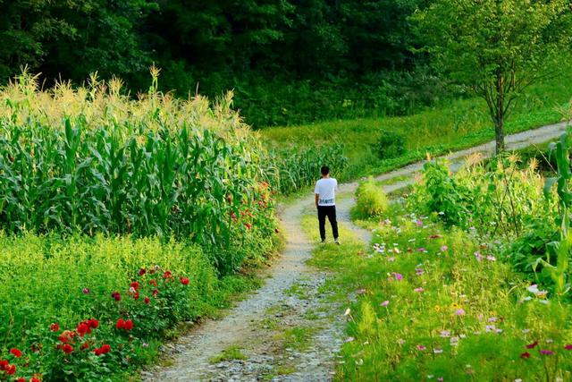 李家我的第二故乡,海拔在1500米以上,是理想的