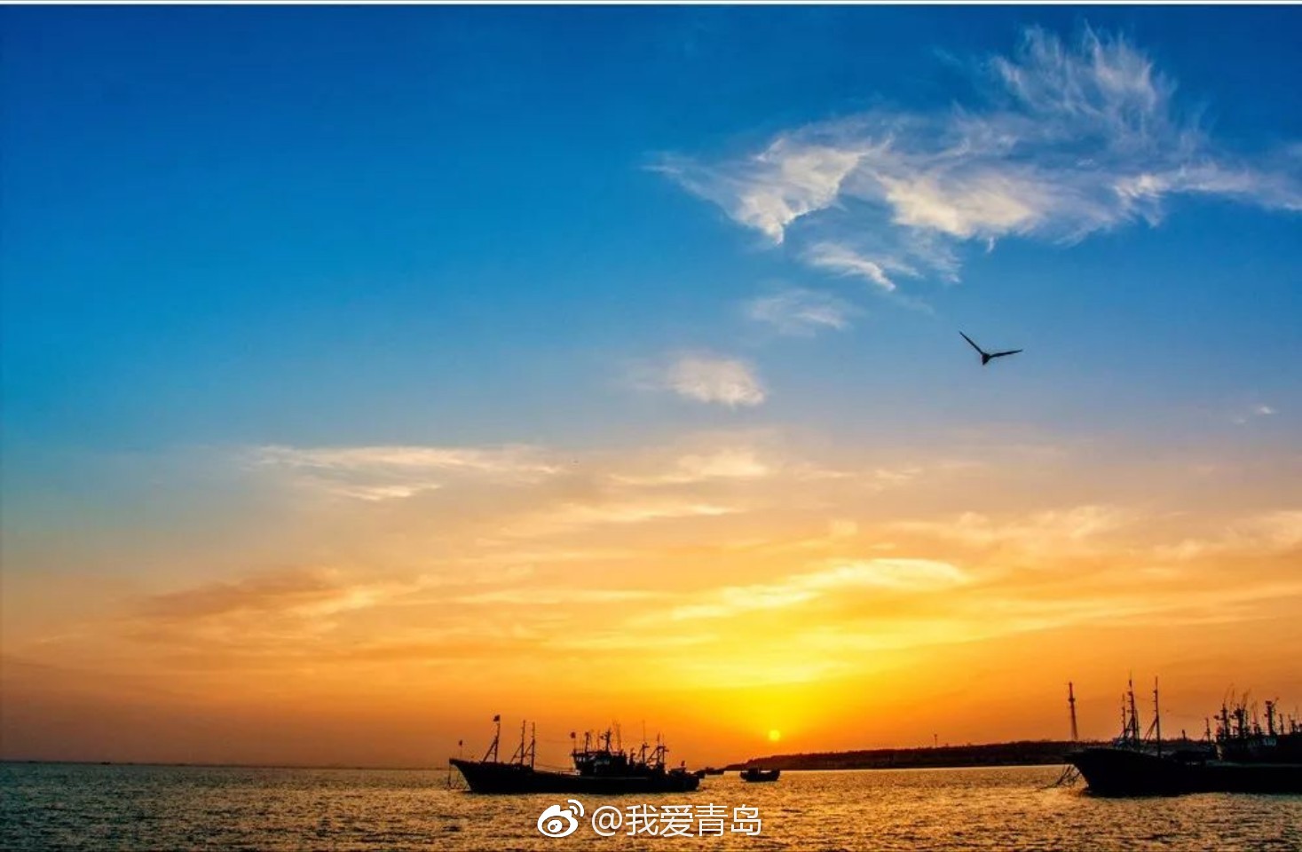 青岛10大海钓好去处!让我们出海当一天渔夫吧!