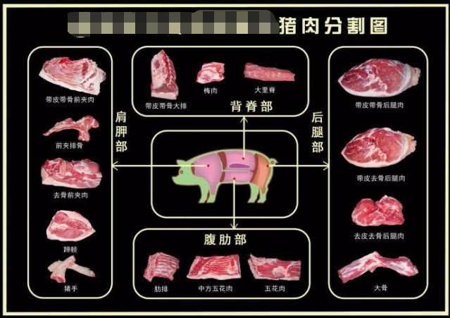 猪身上不同部位的肉,一张图秒懂!再也不用担心被肉贩子忽悠了