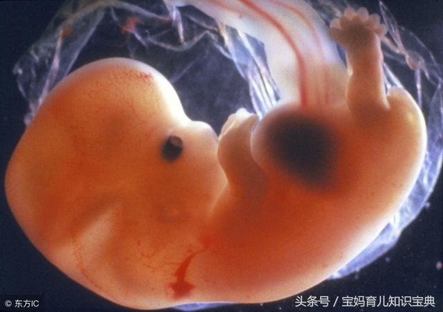 小梅再一次怀上了孩子,同样的,在第5个月时,婆婆又拉着小梅去做了胎儿