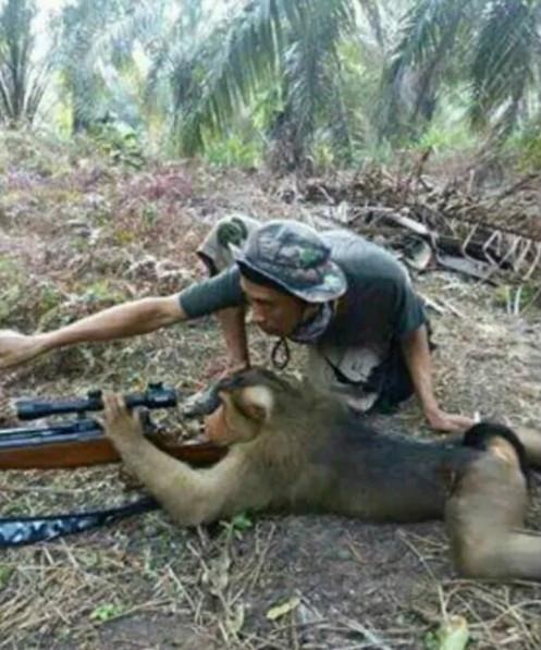 搞笑趣图段子:自制了一台房车，大家觉得追女孩子还有希望吗